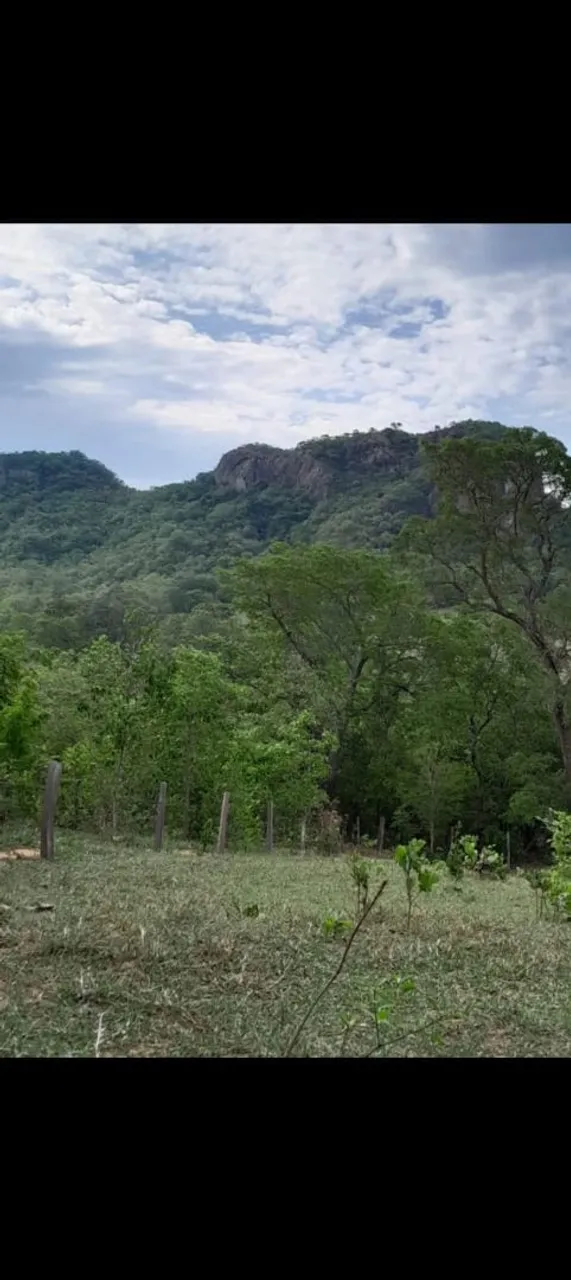 Vendo 97 hectares em Corguinho MS.