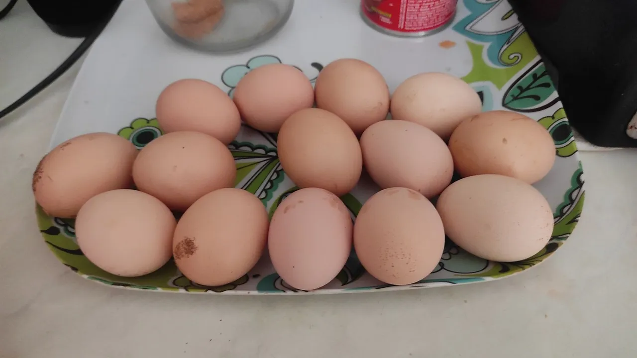 Ovos de galinha balão gsb's