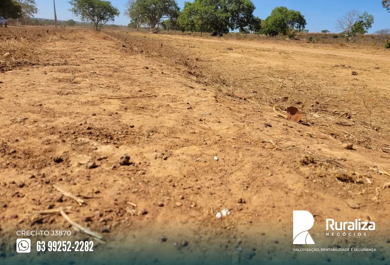Fazenda de oportunidade às margens do asfalto com excelente aptidão agrícola - Foto 2