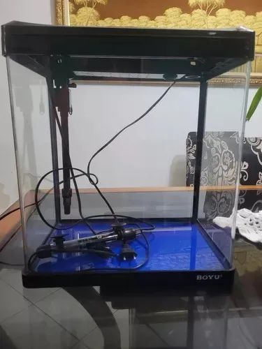 Aquário Boyu Usado, Com Aquecedor, Termómetro, Midia, Pedras (Usado) - Foto 2