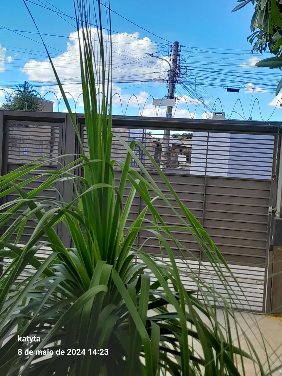 Foto - Campo Grande - Jardim Presidente