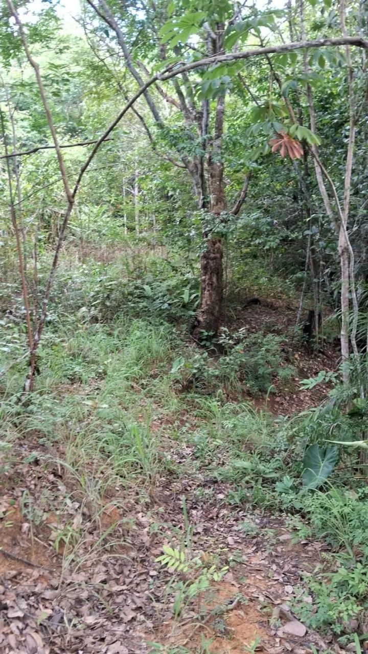 Compro casa ou apartamento a base de permuta  - Foto 2