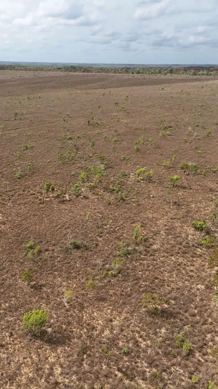Àrea rural com 700 hectares - Macapá - AP