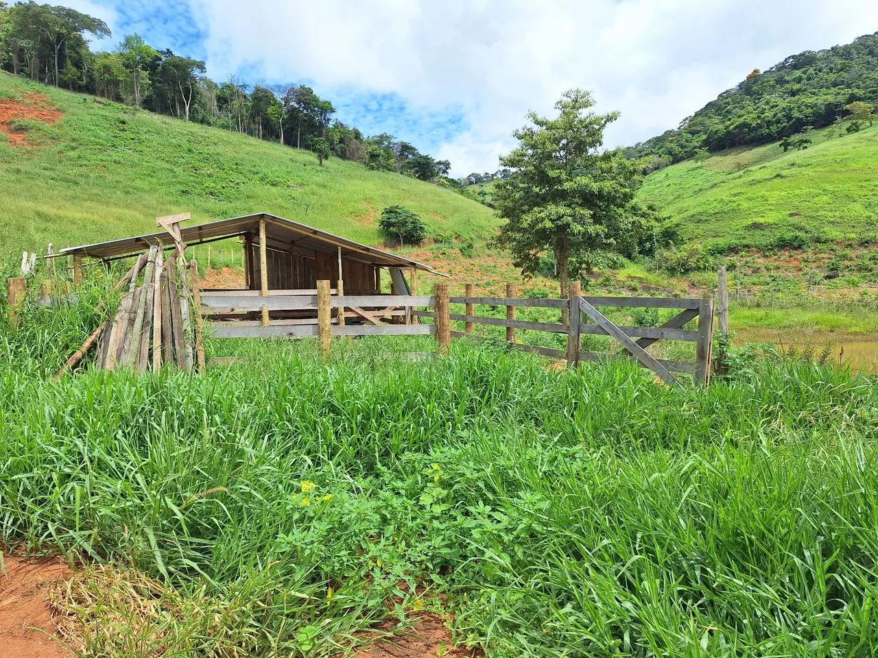 Terreno seis alqueires  - Foto 5