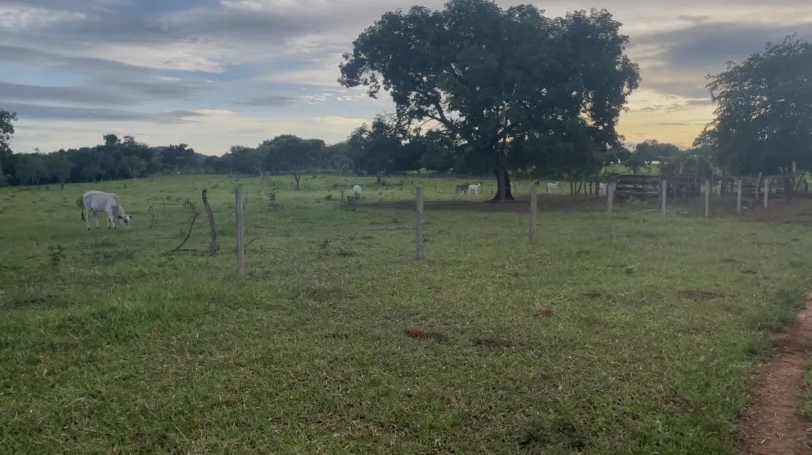 Foto - Goianésia - São Cristóvão