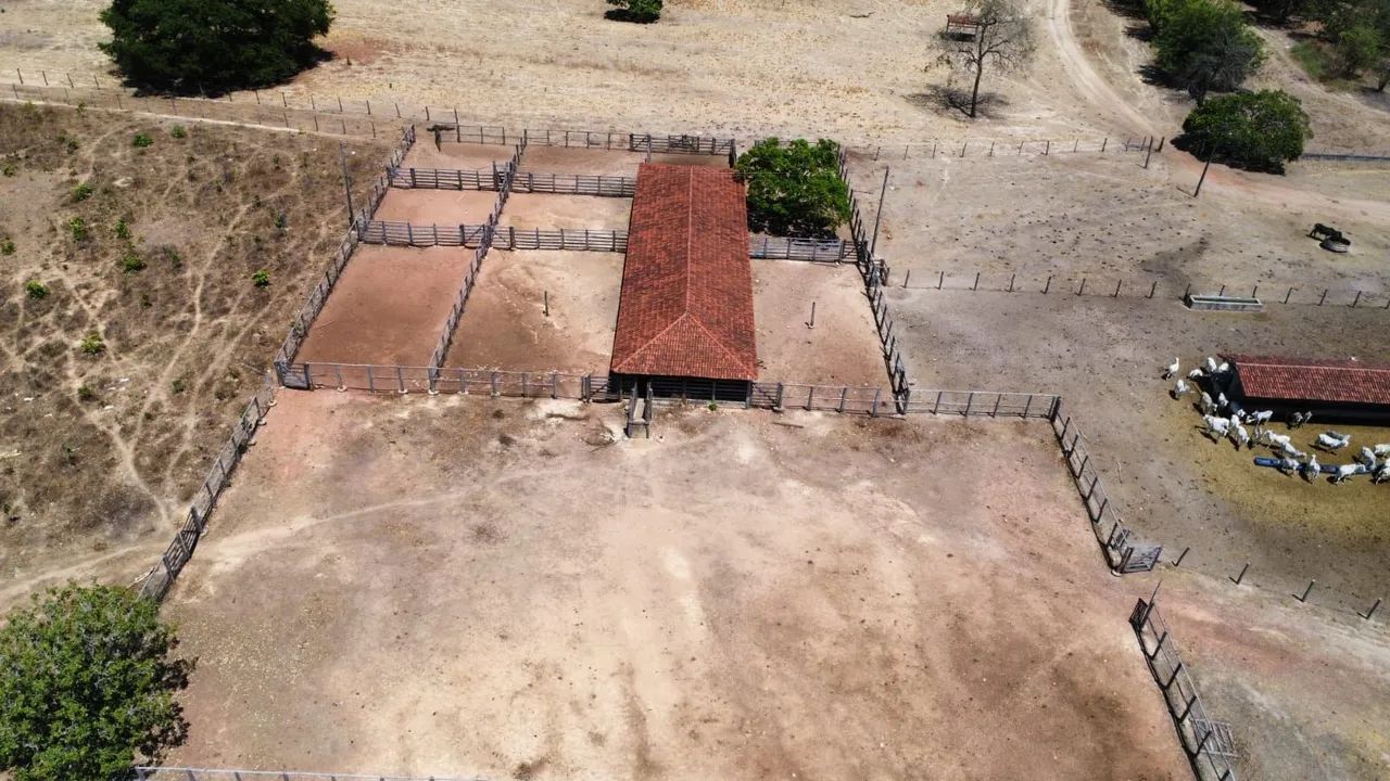 FAZENDA 5.372 HECTARES BAIXO PRA VENDER  - Foto 4