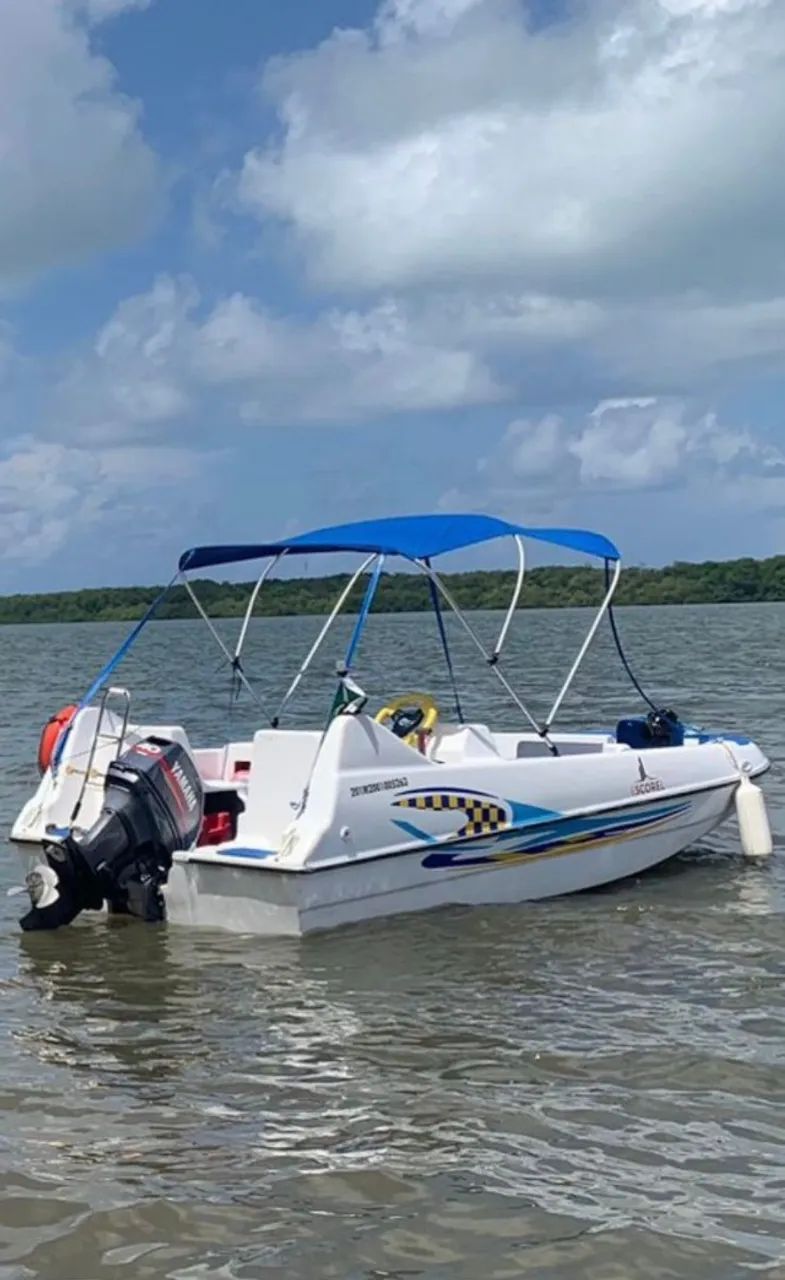 Barco (Motor 2 tempos) - Foto 4