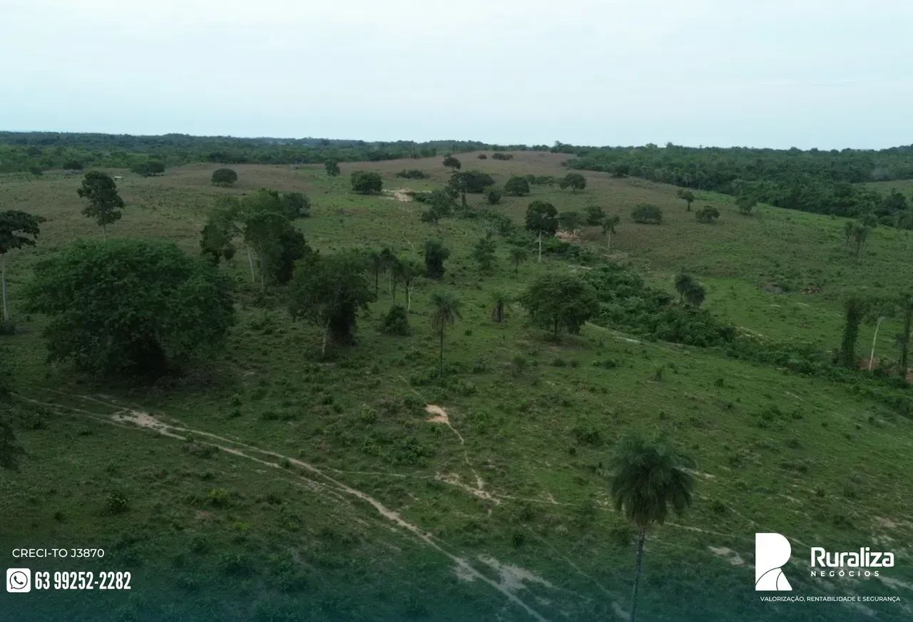 NASCENTES E CÓRREGOS PERENES | 61 ALQUEIRES | PECUÁRIA PRONTA - Foto 4