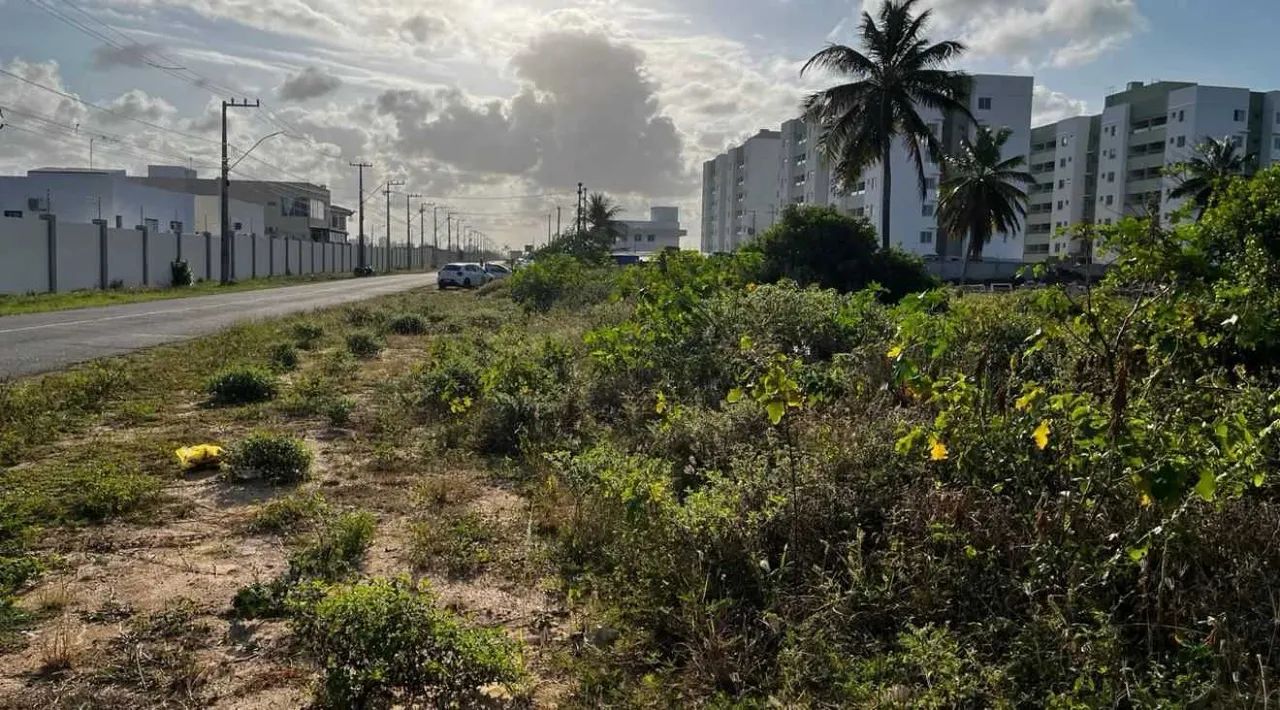 Área na Barra dos Coqueiros [23448] - Foto 2