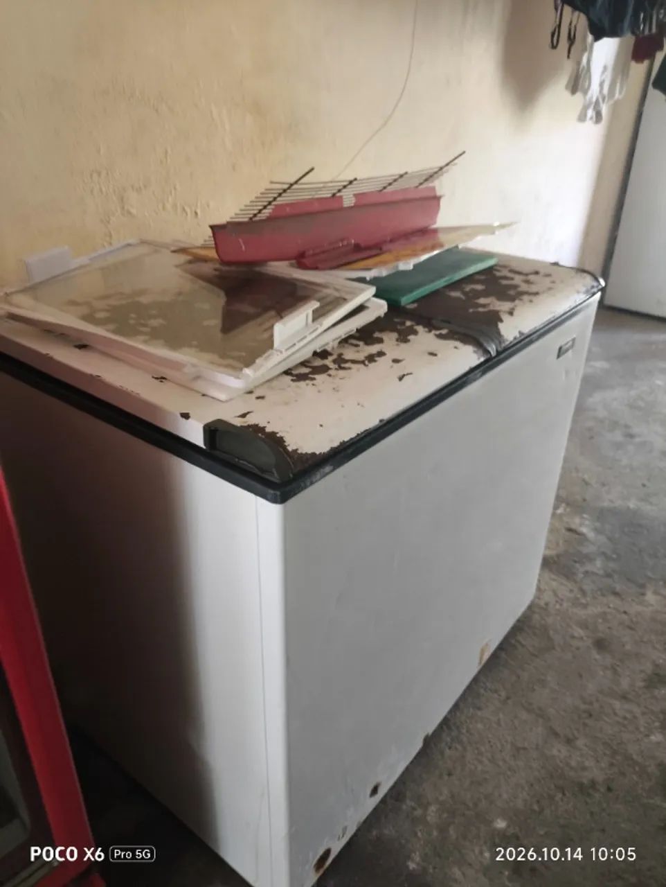Freezers  - Foto 4