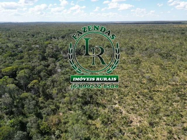 Oportunidade Fazenda Bruta Tocantins 117 alqueires. - Foto 5