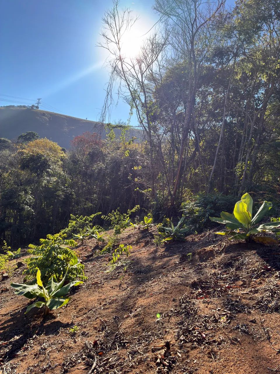 Vende-se Sítio - Aceita Troca com Volta!  - Foto 3