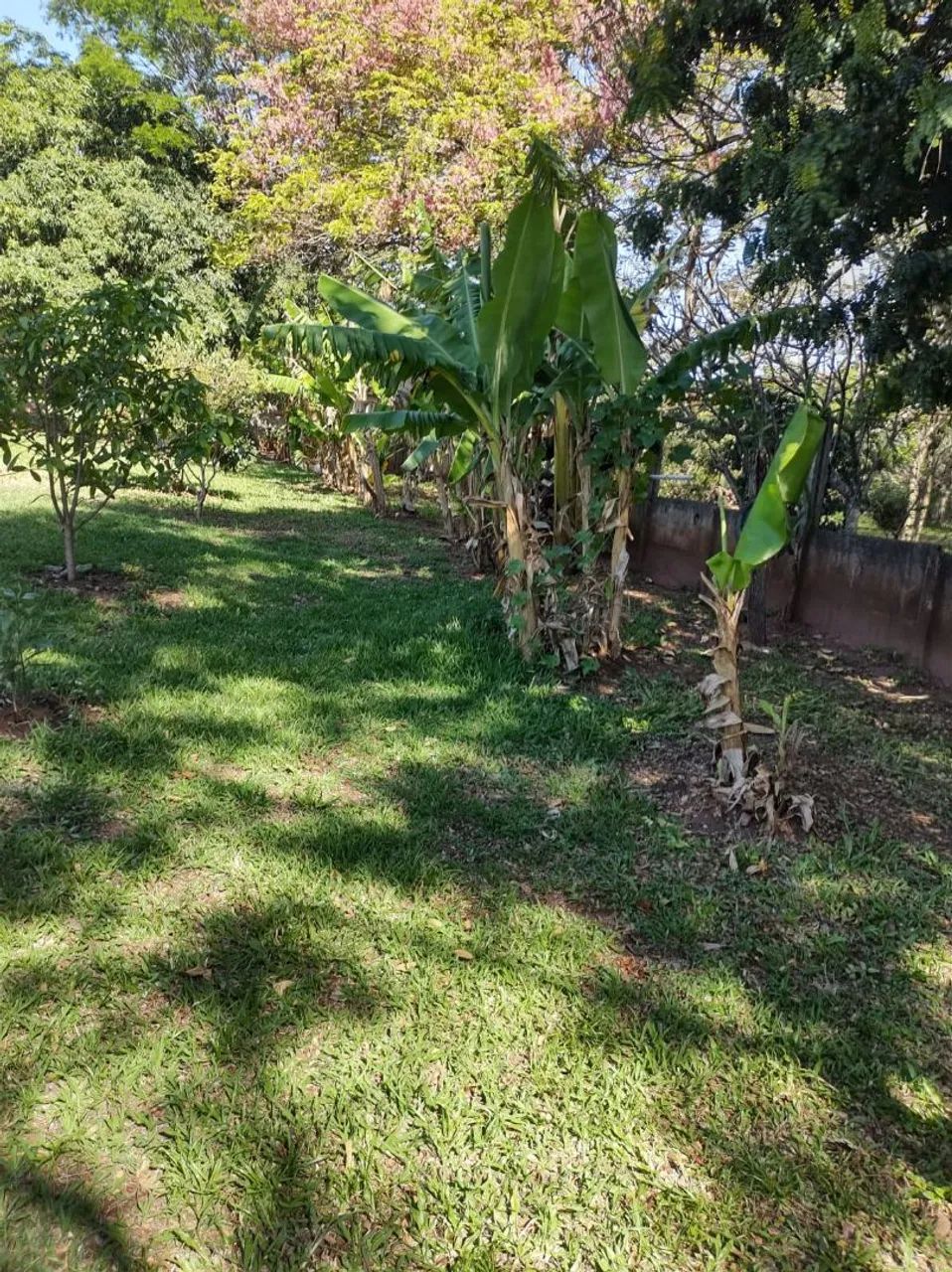 Chácara Encantadora em Águas de Santa - Foto 5
