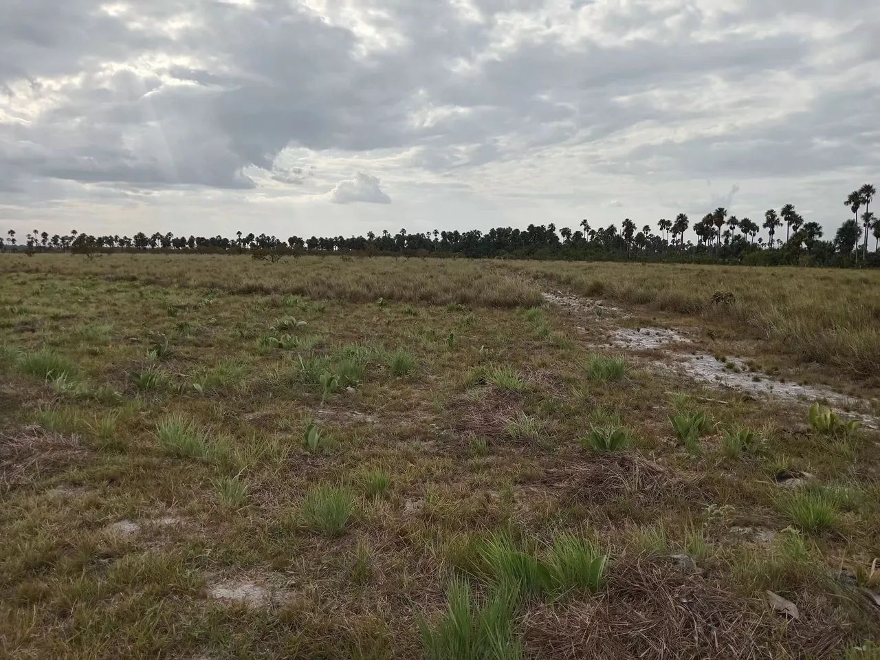 Foto - Boa Vista - Doutor Sílvio Leite