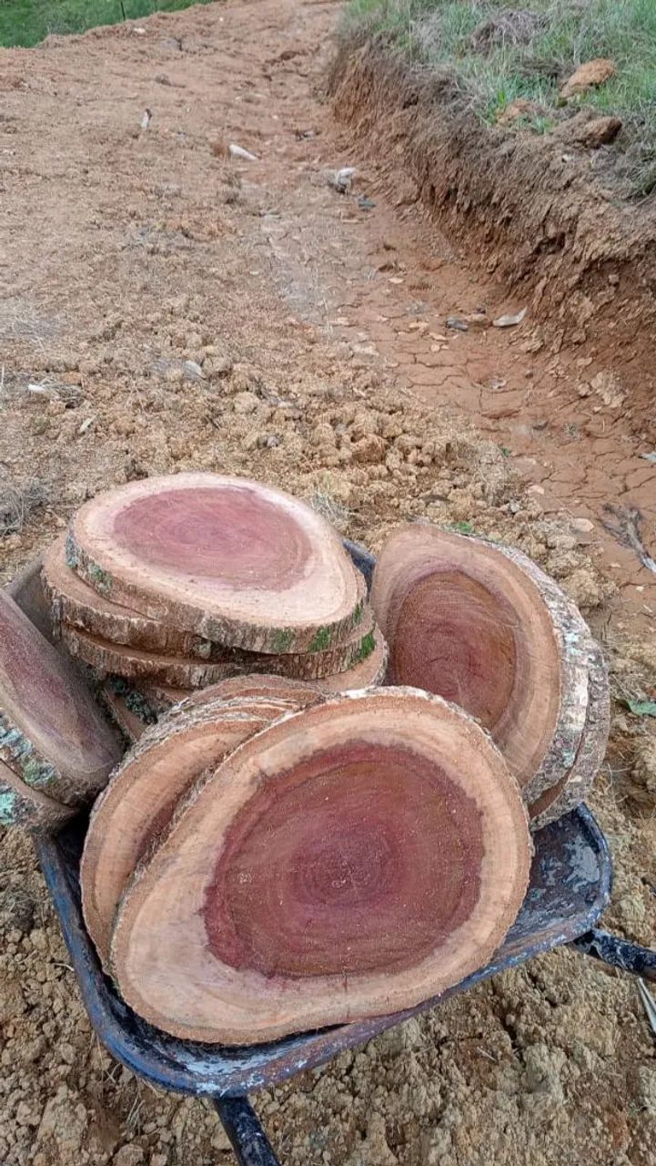 Bolachas de madeira para decoração 