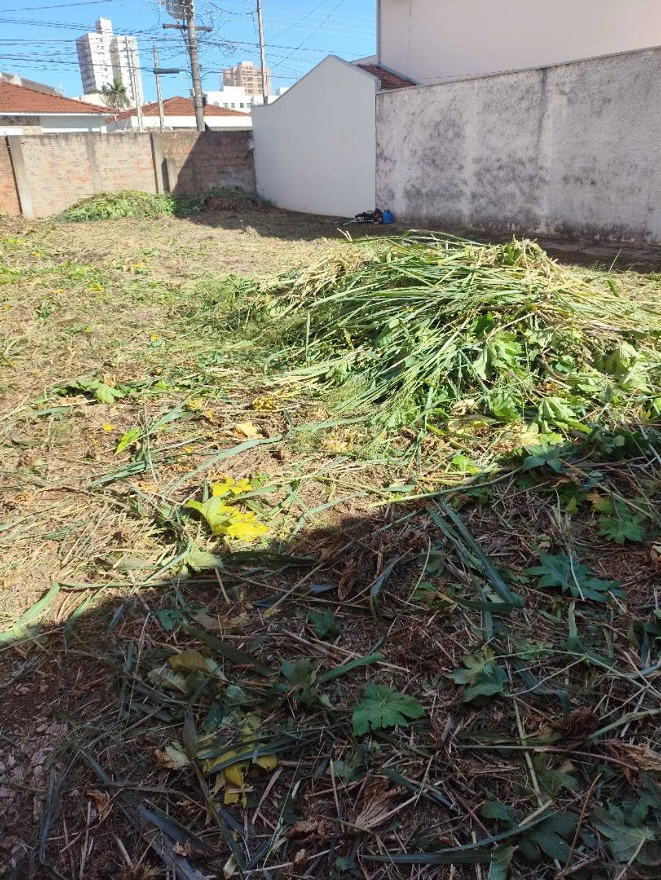 Limpeza de terrenos e calçadas com roçadeira costal - Foto 2
