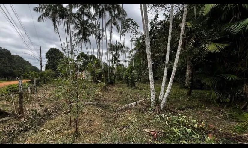 Vendo esse terreno. - Foto 4