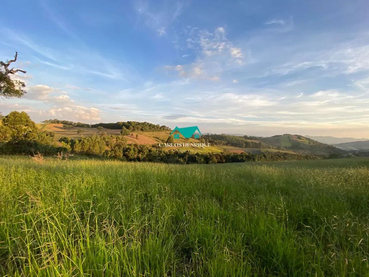 Terreno à Venda com 20000 m² - Foto 5