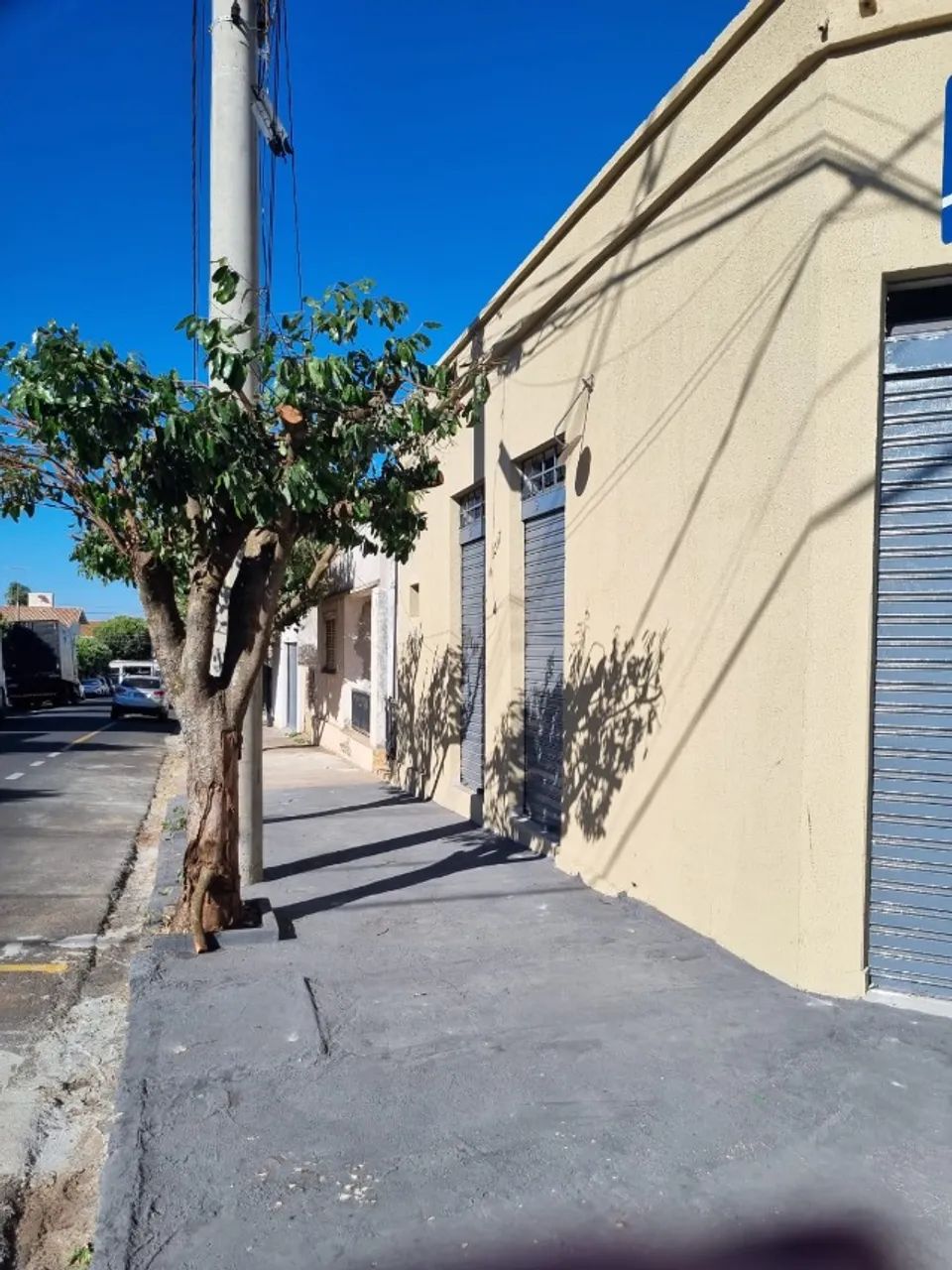 Foto - Mirassol - Centro