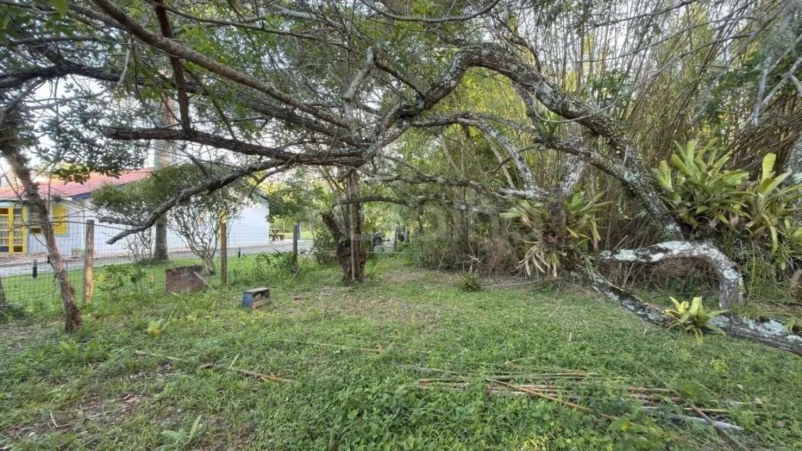 Terreno para Venda em Florianópolis, Ponta das Canas - Foto 3