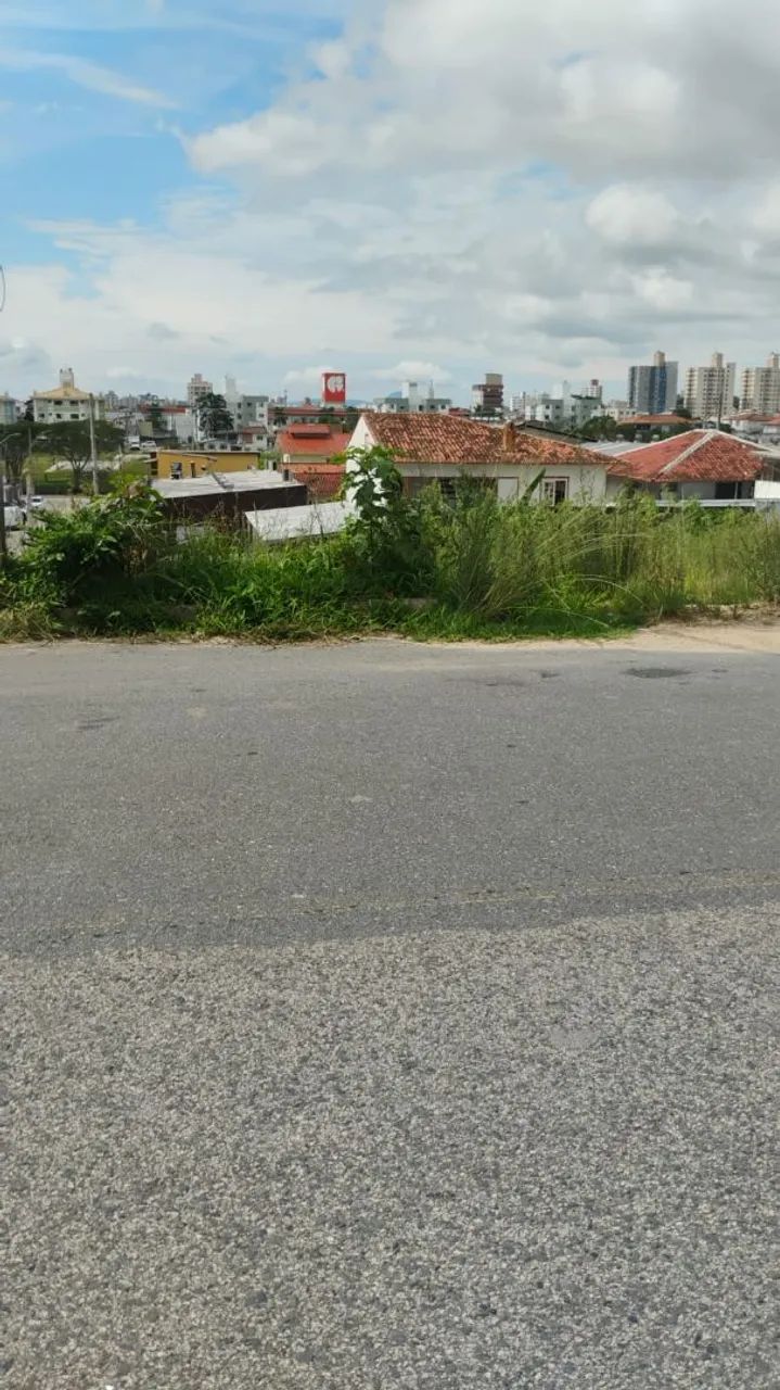 Foto - Florianópolis - Capoeiras
