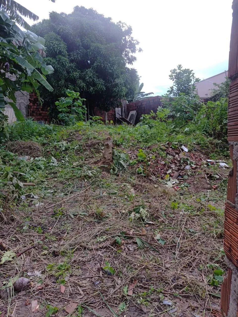 Vendo este terreno, ótimo localização  - Foto 5