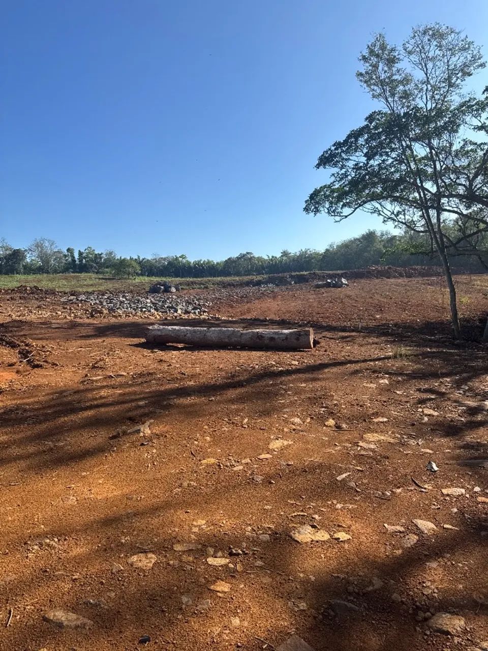Terreno em Nova Veneza  - Foto 3