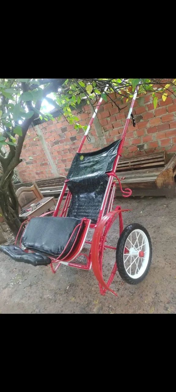 Charrete pra venda . - Foto 4