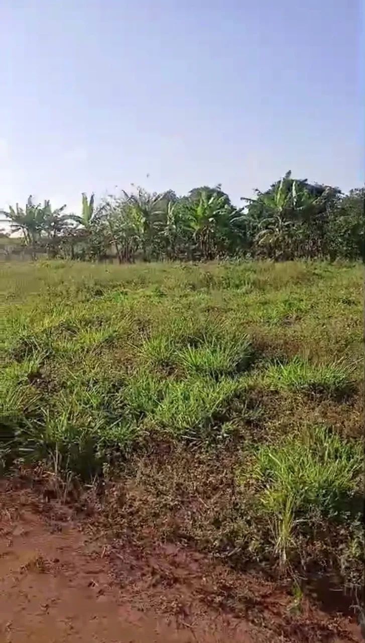 Terreno na Vila Aparecida  - Foto 3