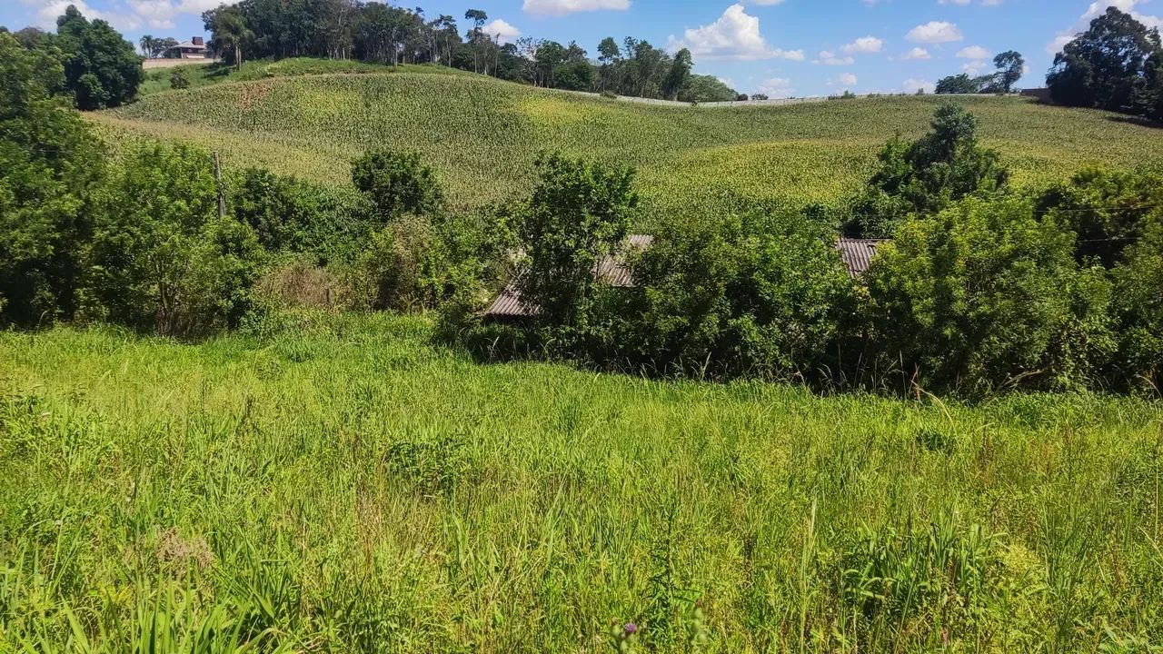 GALPÃO PARA ALUGAR - CAMPO MAGRO/PR - Foto 3