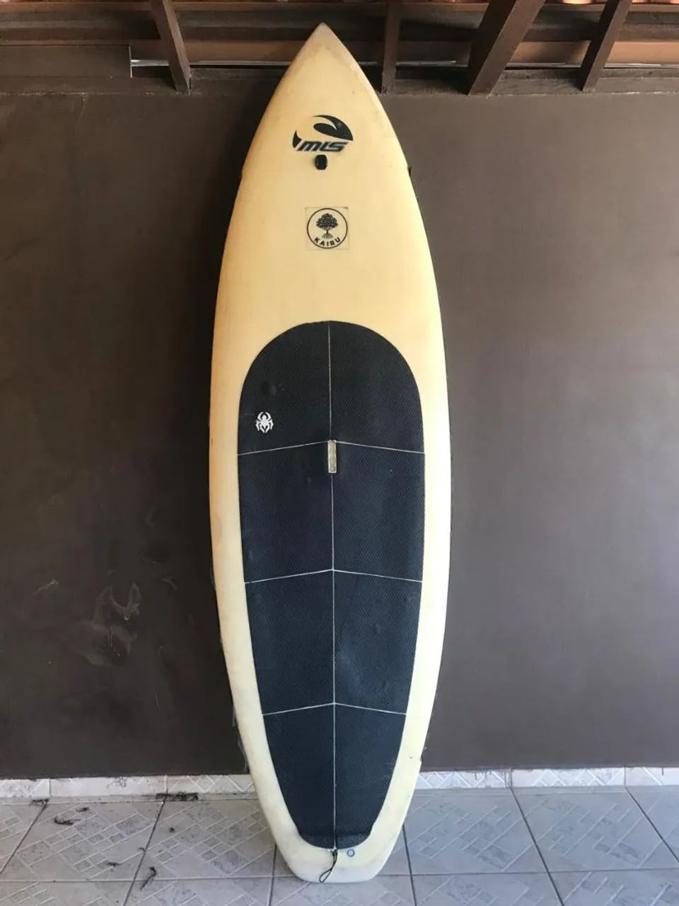 Stand Up Paddle Surf
