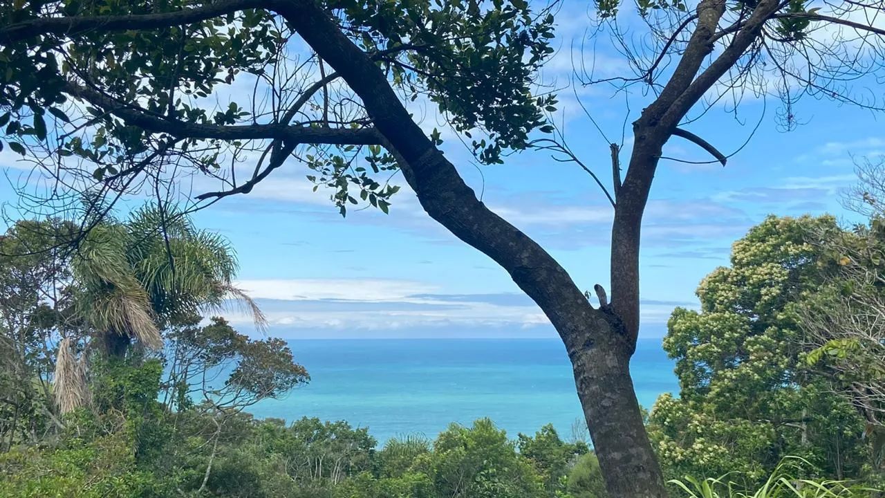 Terreno para Venda em Garopaba, Praia da Ferrugem