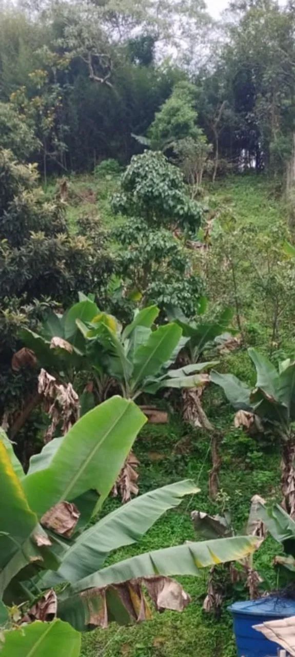 Terreno 695m² ,  aceito proposta , Embú Guaçu SP  - Foto 2