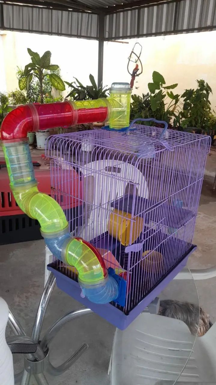 Gaiola hamster