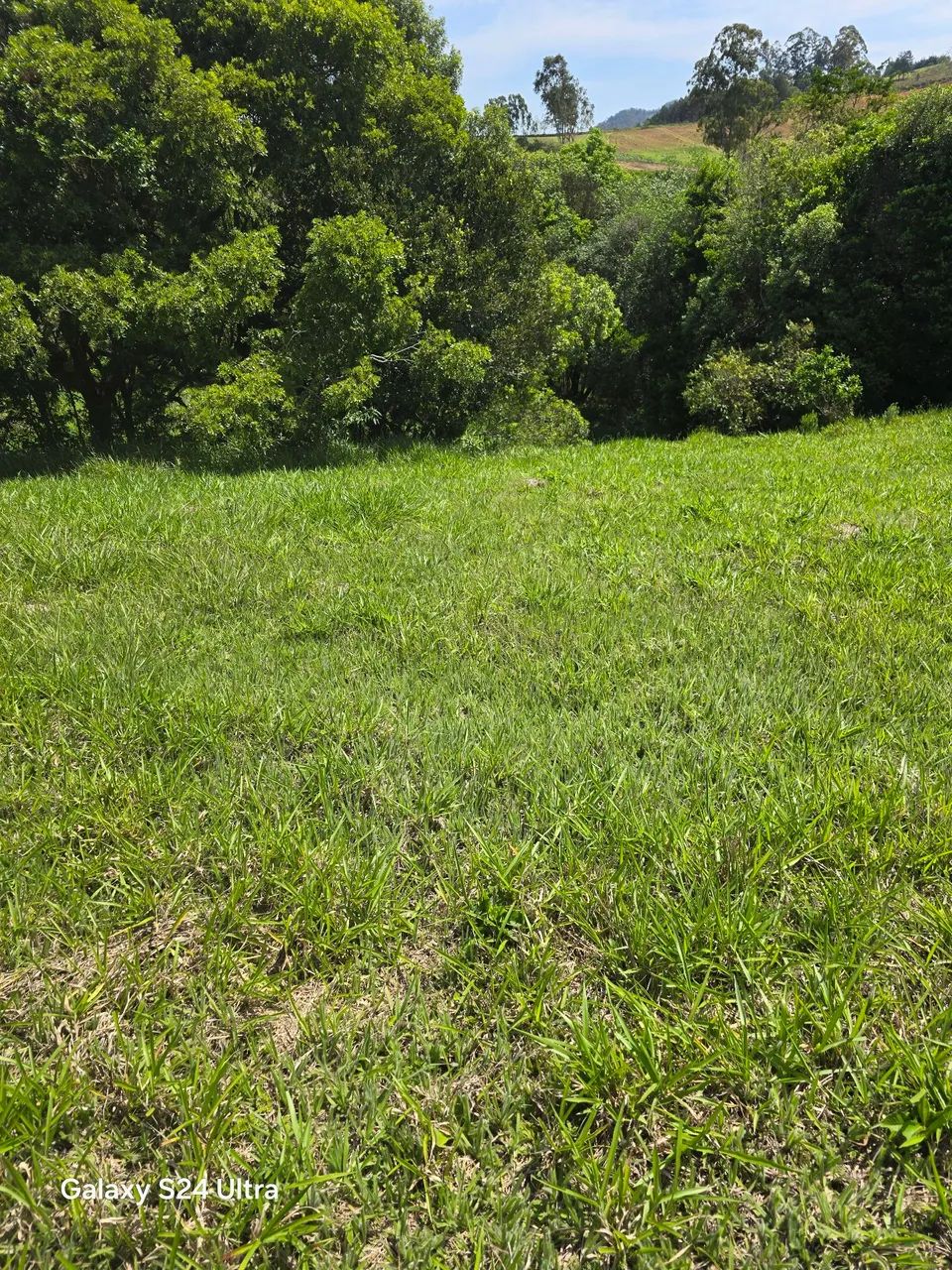 Terreno itapeva mg - Foto 2