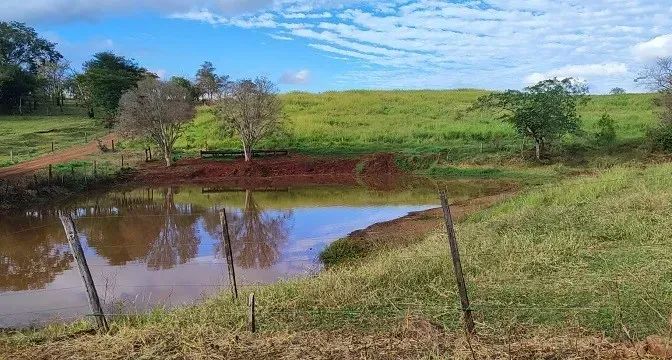 ÁREA PARA LOTEAMENTO - Cornélio Procópio - Foto 5
