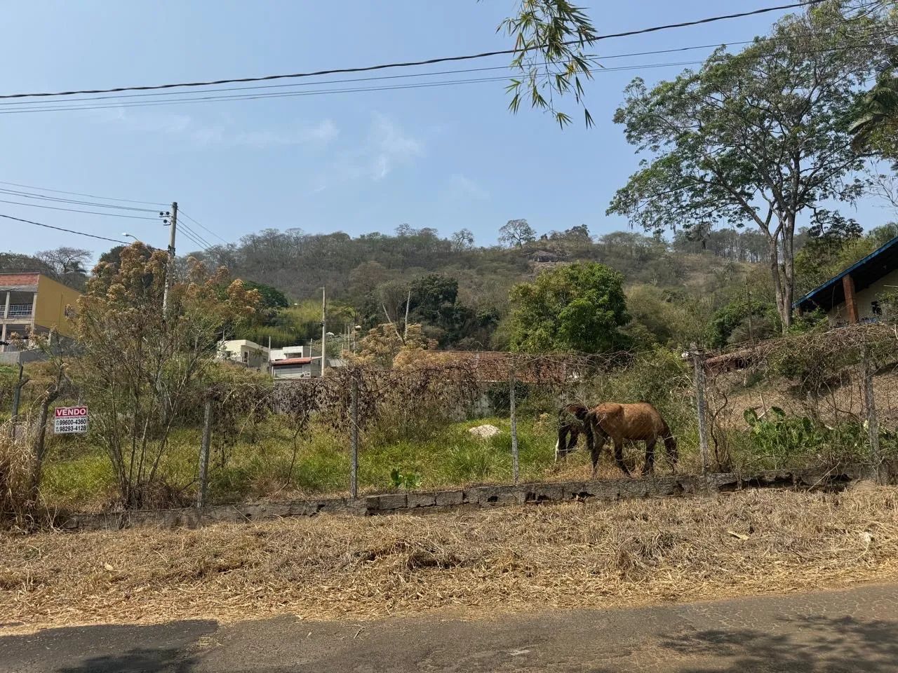 Terreno Chácara São Francisco 