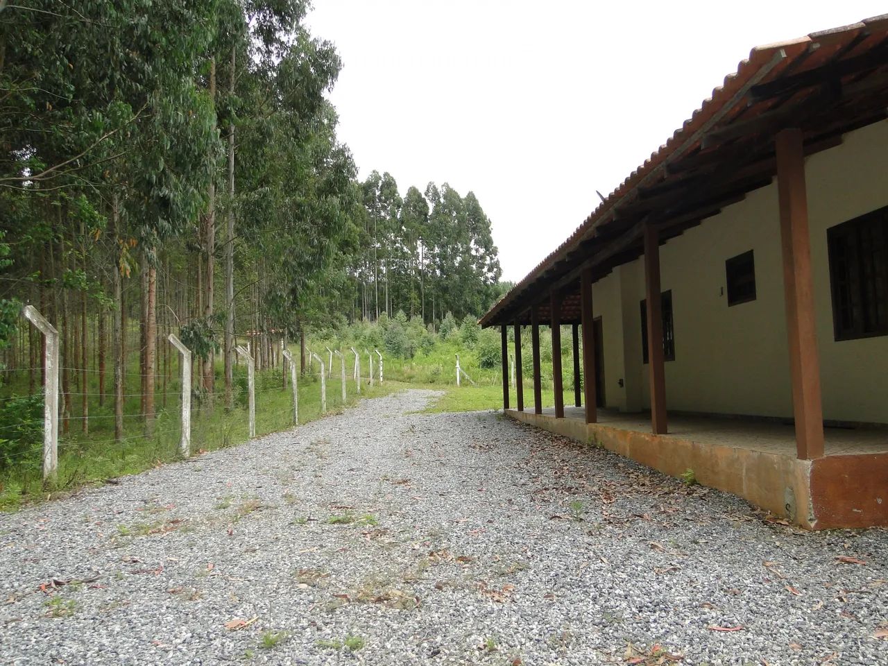 CHÁCARA DOS SONHOS, VOCÊ QUER LAZER E TER RENDA? OU IDEAL PARA HARAS - Foto 4