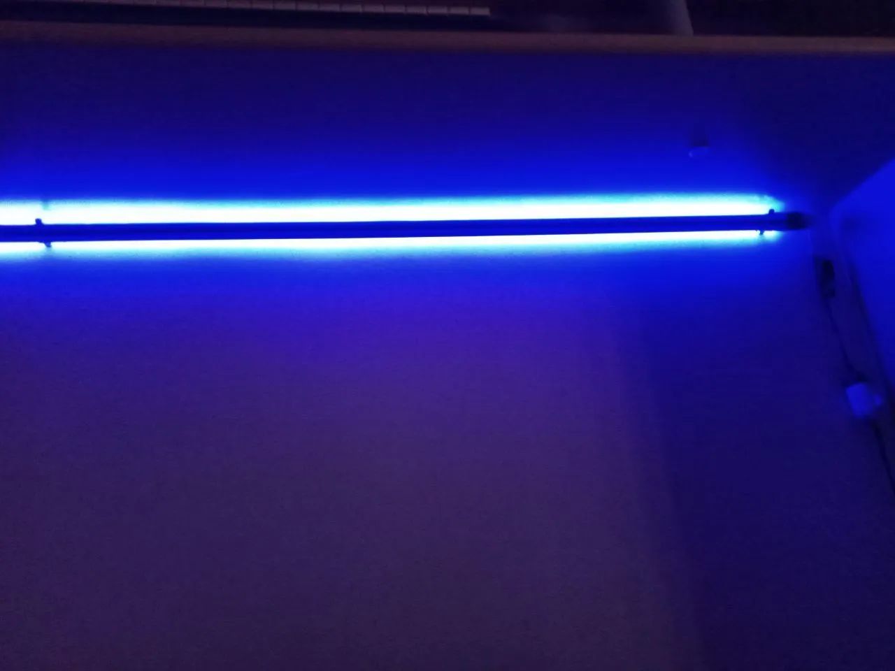 Luz de led 