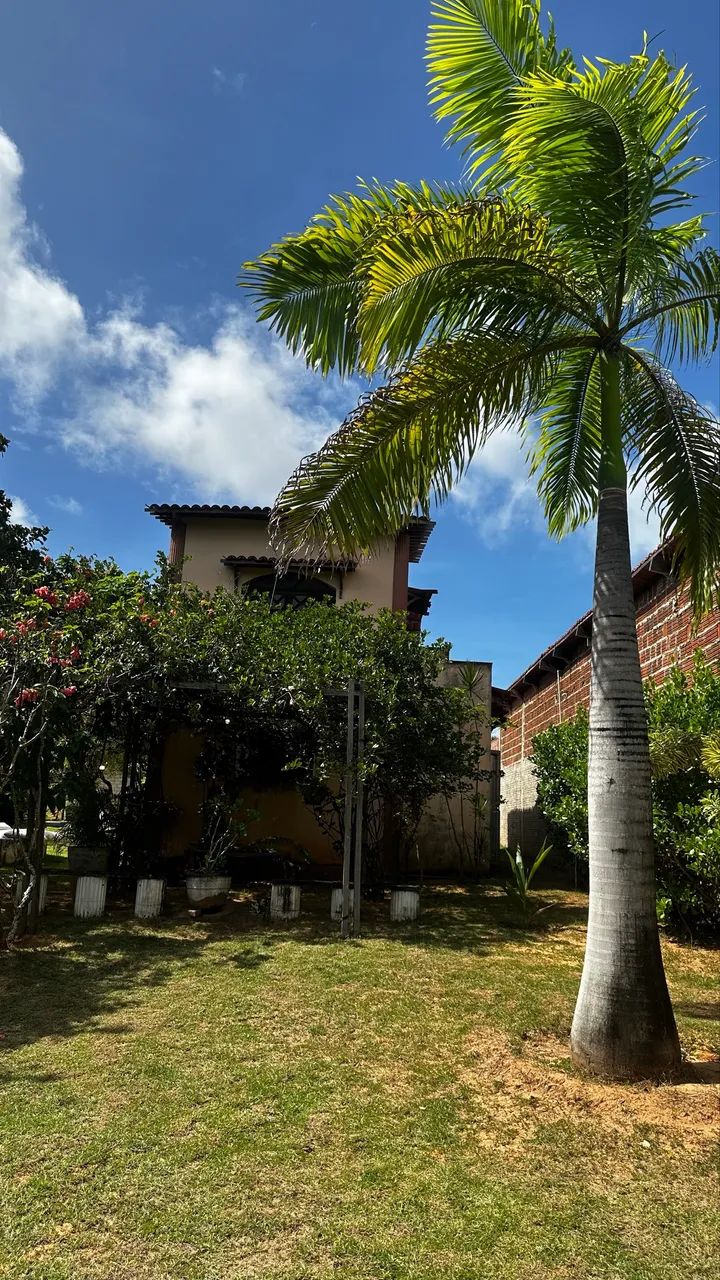 Oportunidade Chácara pium  - Foto 3