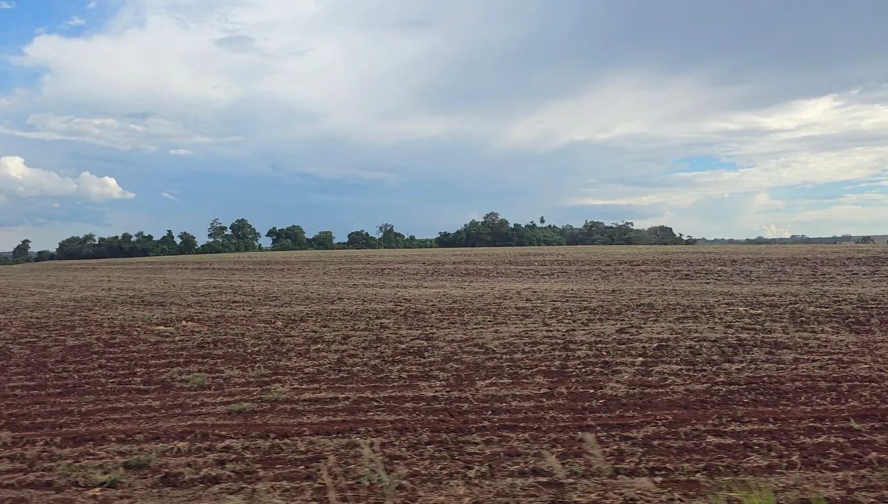 Vendo Sítio de 236.870 M² em Vera Cruz do Oeste-PR. - Foto 2