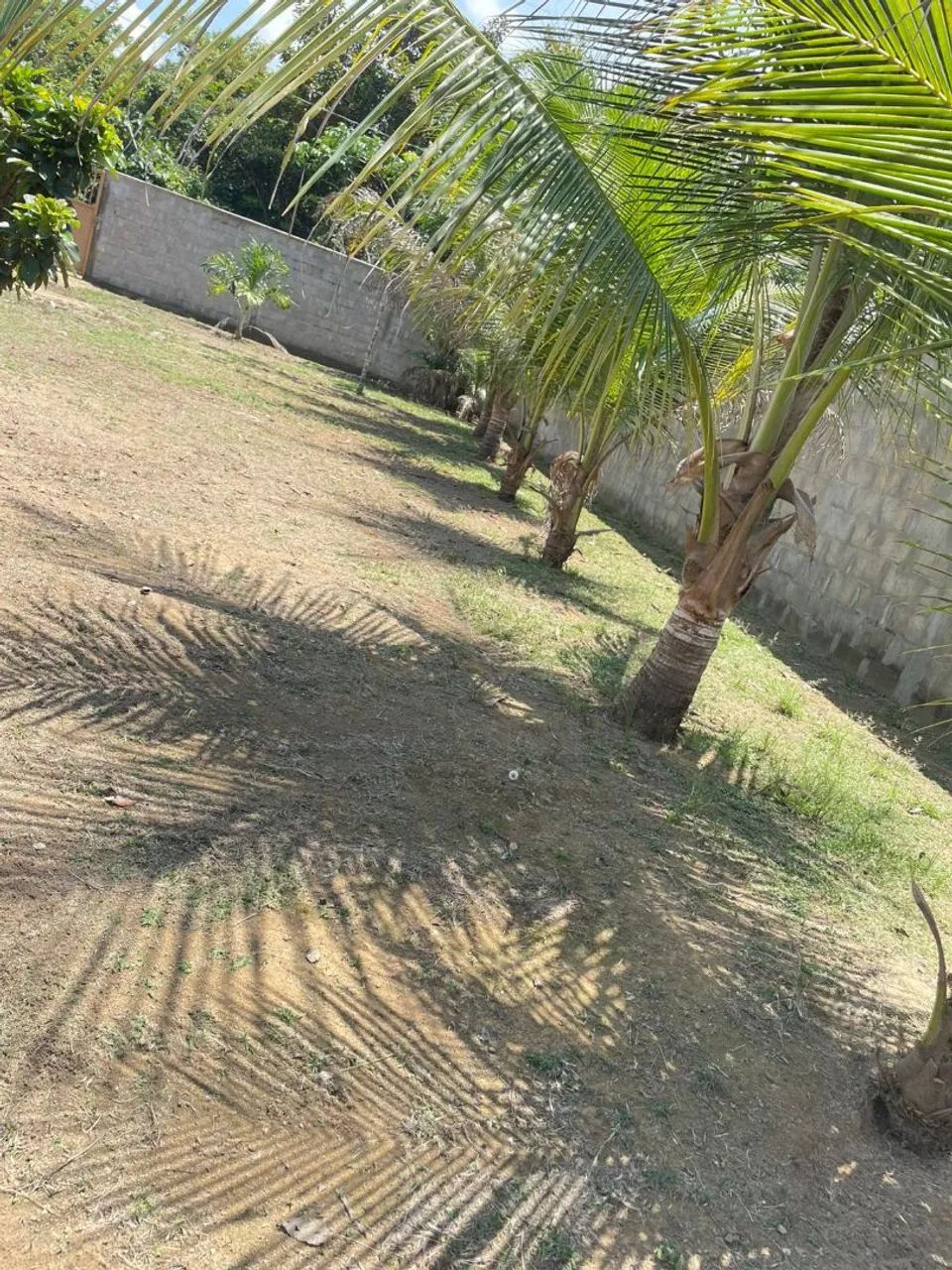 Chácara Iranduba  - Foto 4