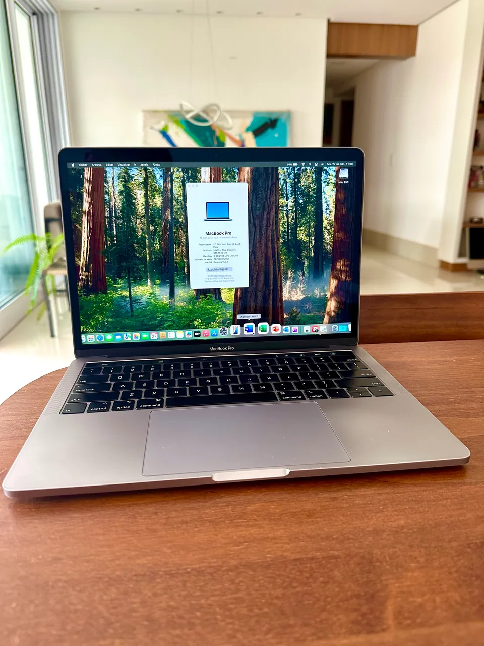 MacBook Pro 2019 8GB RAM 256 GB 13.3? - Notebooks - Setor Bueno