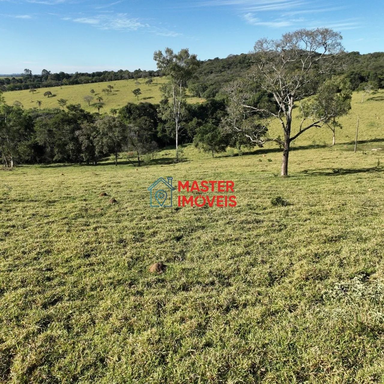 FAZENDA DE 58 HECTARES EM ITAGUARA - Foto 5