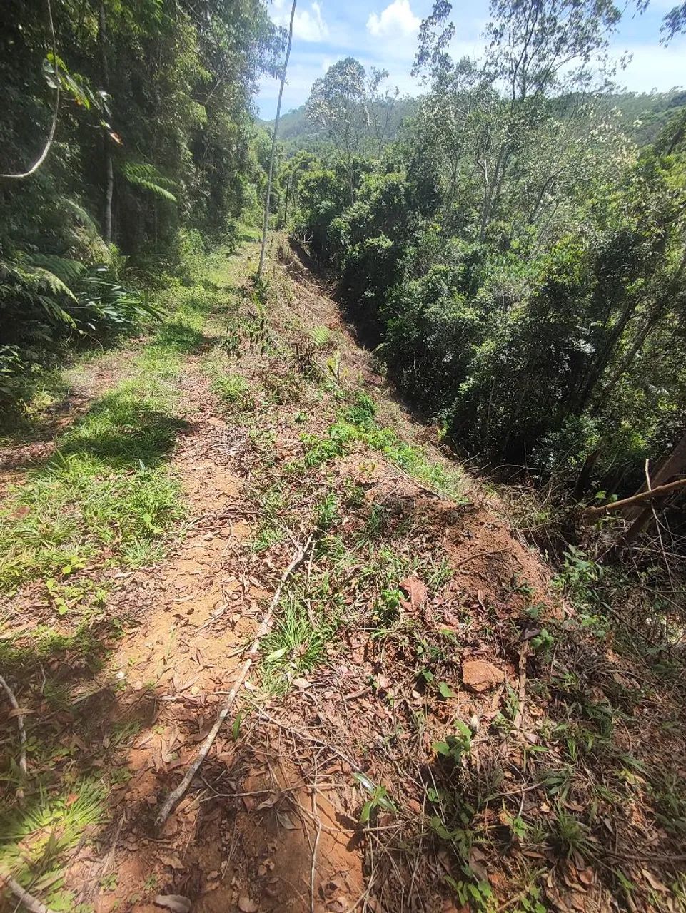 Foto - Alfredo Chaves - 