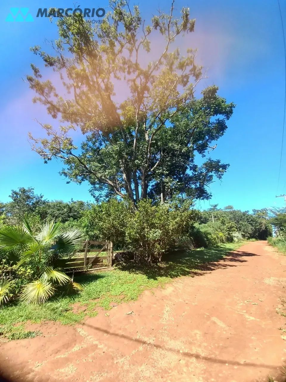 Chácara à venda, Condomínio das Palmeiras, Bela Vista de Goiás, GO - Foto 2
