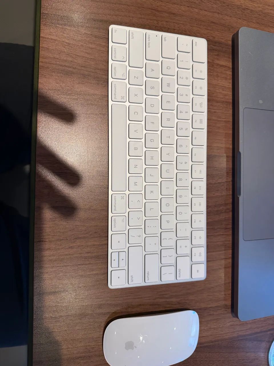 Teclado da apple + magic mouse 2 