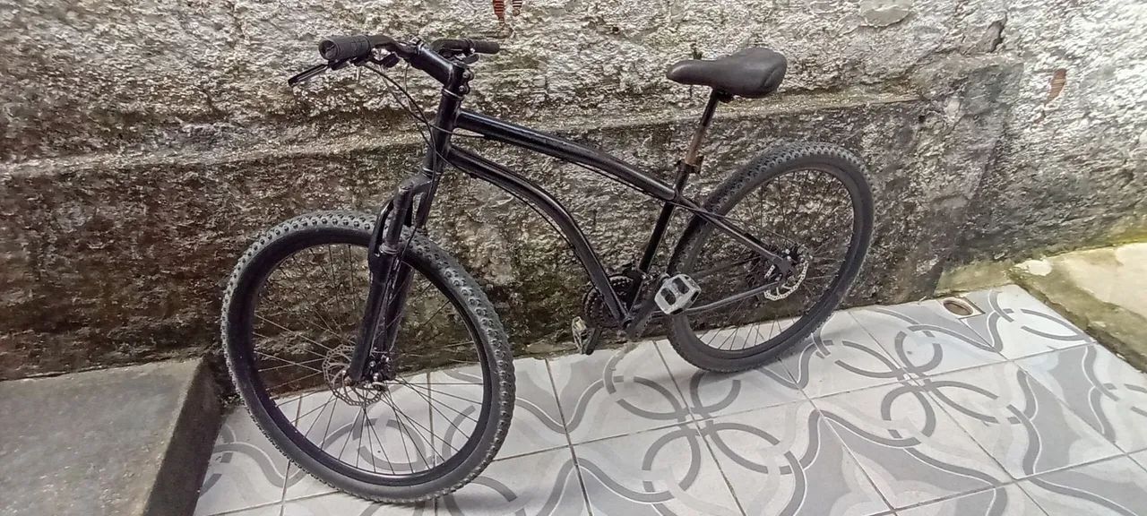 Caloy Aro 29 $700,00