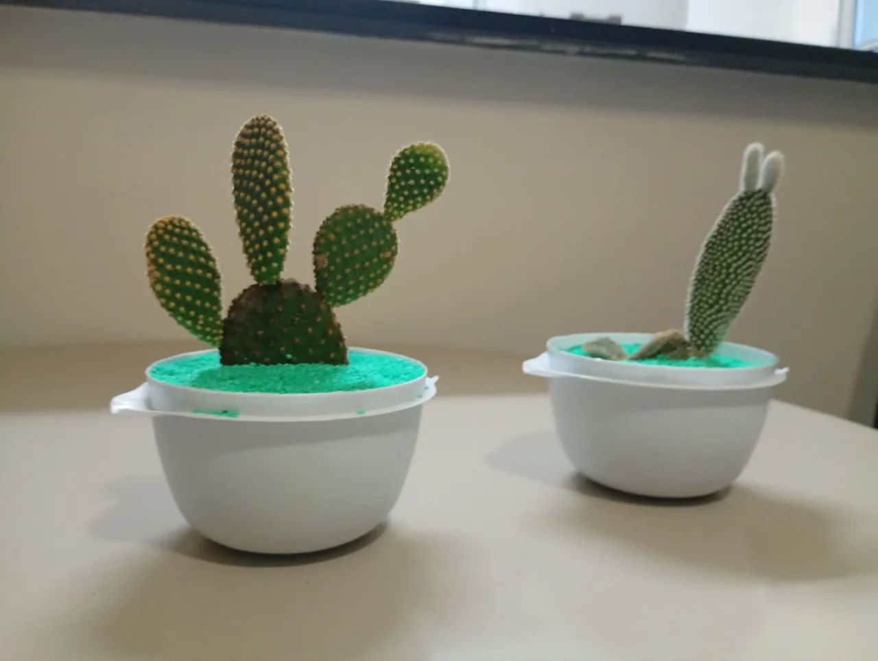 Mini cactos para palmeirense  - Foto 2