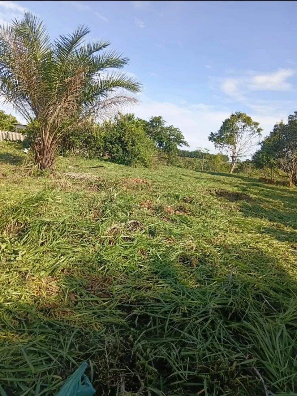 Terreno à venda - Foto 3